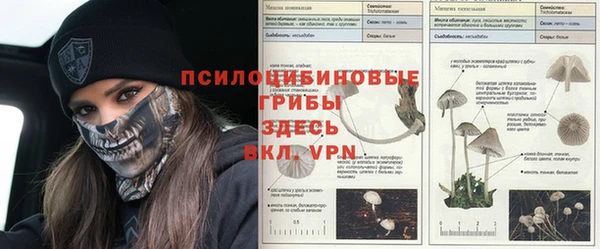 каннабис Алексеевка